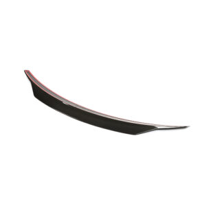 Benz C257 CLS Carbon Fiber Rear Spoiler | PSM Aerodynamic Package