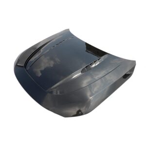 Carbon fiber Hood