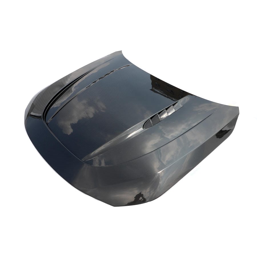 carbon fiber Hood