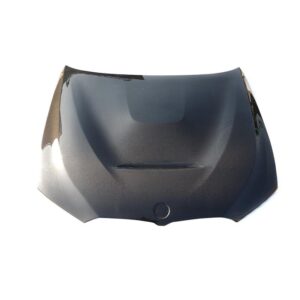 BMW G20 3Series Carbon Fiber Hood | GTS Body Kit