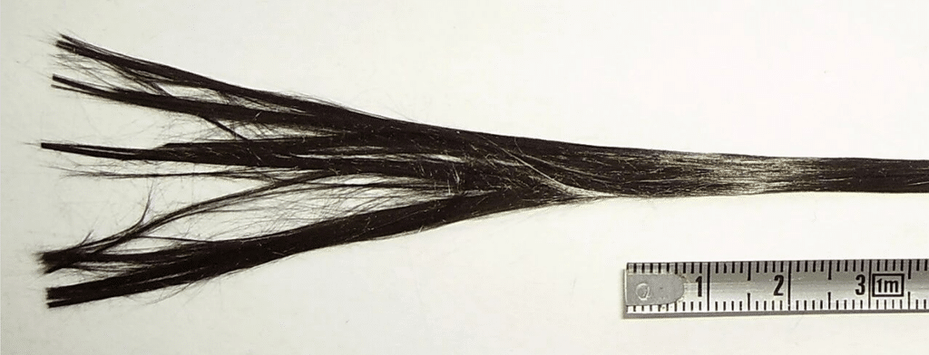 Close-up of carbon fiber tow