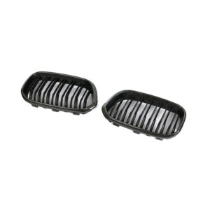 BMW F20 1 Series Carbon Fiber Front Grille