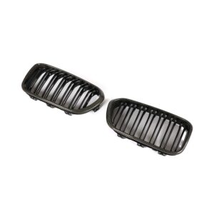 BMW F20 1 Series Carbon Fiber Front Grille