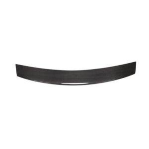 Mercedes-Benz C190 Amg-GT Carbon Fiber Rear Spoiler