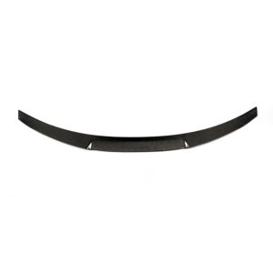 BMW G20 3 Series Carbon Fiber Rear Spoiler